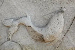 Delphinion: Relief of a fish from the Delphinion, or main
