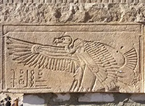 Elephantine: Relief, Khnum temple, Abu, Elephantine island, Egypt