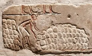 Storehouse: Relief, Luxor Museum, Egypt