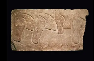 Celt: Relief - Musee d'Histoire de Marseille - Marseille