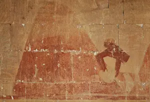 Tourist Attraction: Relief, Punt Portico, Temple of Hatshepsut