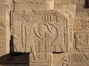 Naos: Relief - Temple of Arensnuphis - Philae Complex