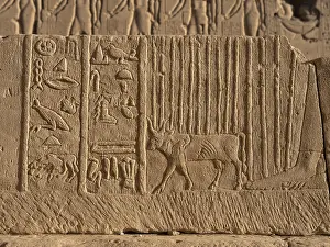 Qena: Relief - Temple of Hathor - Dendera Complex