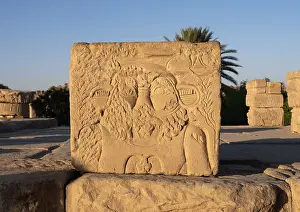 Agilkia: Relief - Temple of Hathor - Philae Complex