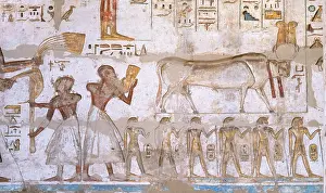 Usermaatre: Relief, Temple of Ramesses III, Medinet Habu, Thebes, Egypt