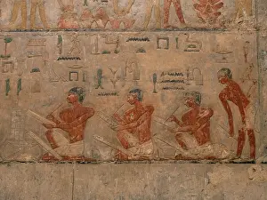 Storeroom: Relief, Tomb of Ty, Saqqara, Egypt