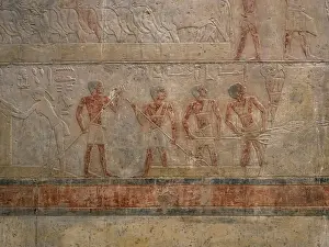 East Wall: Relief, Tomb of Ty, Saqqara, Egypt
