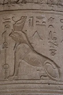Edfu: Reliefs representing a falcon-headed sphinx. Temple of Horus