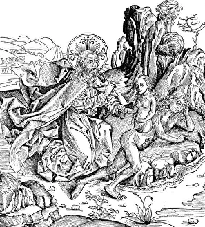 Ribs: religion, biblical scenes, Genesis, creation