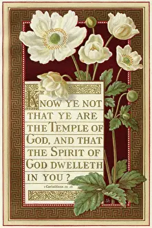 Corinthians: Religious verse 1885