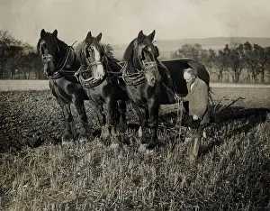 Sympathy: REMEMBRANCE IN THE FIELD