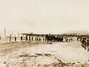 Mules: Remount depot WWI