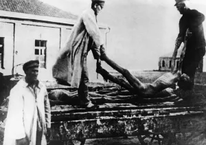 Emaciated: Removal of starved farmers