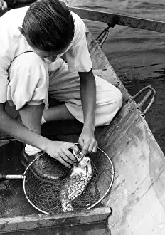 Gaff: REMOVING A FISH HOOK