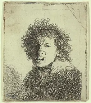 1630: Remrandt van Rijn