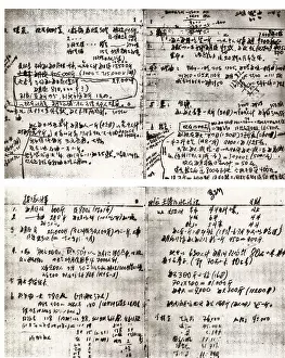 Bishis: Ren Bishi's Notes