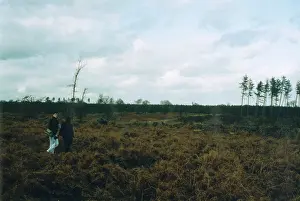 Ufos: RENDELSHAM SCENE