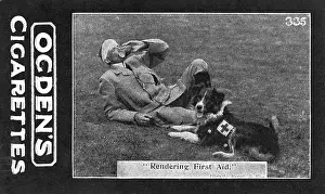 Rendering: Rendering First Aid - Major Richardson's war dogs