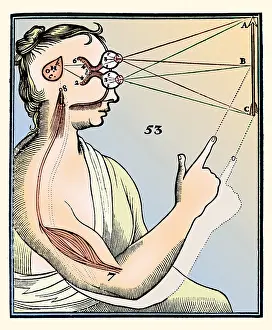 1677: Rene Descartes, Vision and External Stimuli