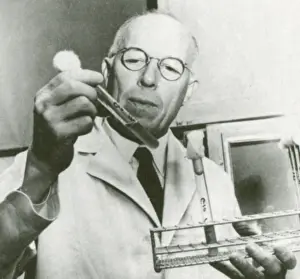 Microbiologist: Rene Dubos