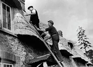 Thatchers: Repair work on the thatched roof