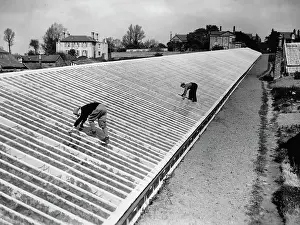 Glasshouse: Repairing vineyard