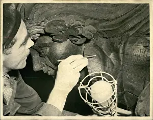 Insecticide: Repairs to ceiling of Westminster Hall, London