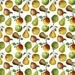Repeating Pattern - Apples and Pears