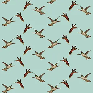 Beaks: Repeating Pattern - Birds