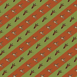 Diagonal: Repeating Pattern - Birds