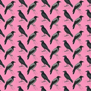 Crows: Repeating Pattern - Crows and Jackdaws