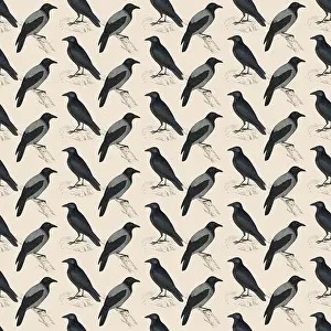 Crows: Repeating Pattern - Crows and Jackdaws