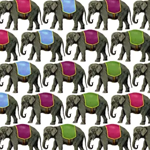 Jumbo: Repeating Pattern - Elephants