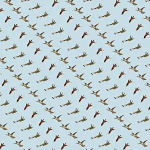 Hovers: Repeating Pattern - Hummingbirds