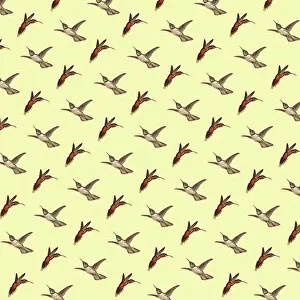 Hovers: Repeating Pattern - Hummingbirds