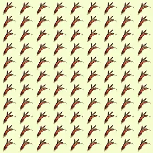 Hovers: Repeating Pattern - Hummingbirds