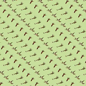 Hovers: Repeating Pattern - Hummingbirds