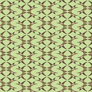 Hovers: Repeating Pattern - Hummingbirds