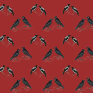 Jackdaw: Repeating Pattern - Jackdaws
