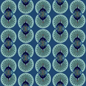 Peacocks: Repeating Pattern - peacocks, blue