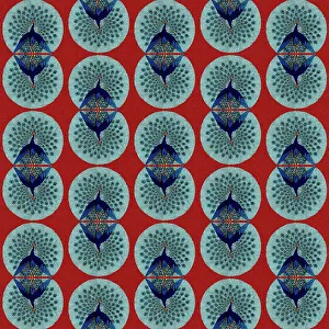 Peacocks: Repeating Pattern - peacocks, red