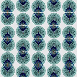 Peacocks: Repeating Pattern - peacocks, white