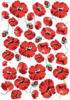 Assemblage: Repeating Pattern - Poppies - White background