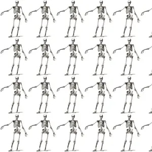 Skeletons: Repeating Pattern - Skeletons