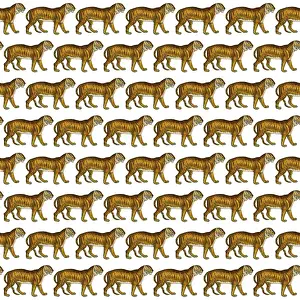 History Repeats Itself: Repeating Pattern - Tigers - white background