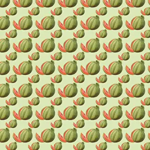 Watermelon: Repeating Pattern - Watermelons