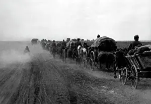 Seversky: Replenishment convoy on the southern Eastern Front, May 1942