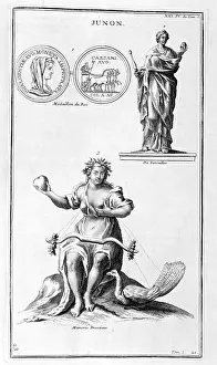 Supplement: Representation of the Vestal Virgins. illustration