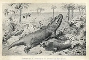 Smit: Reptiles and amphibian of the Triassic