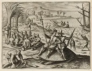 Tortoises: REPTILES/TURTLES 1598